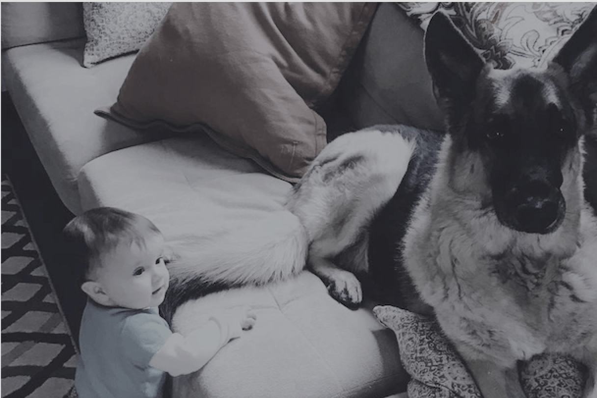 About – Zoey's Zone